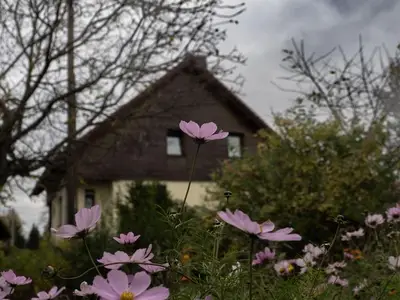 Ferienhaus für 8 Personen (125 m²) in Bad Gottleuba 3/10