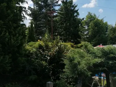Ferienhaus für 3 Personen (48 m²) in Bad Gottleuba-Berggießhübel 2/10