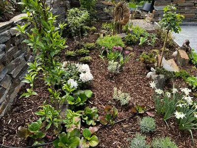 Ferienhaus für 6 Personen (160 m²) in Bad Grund (Harz) 10/10