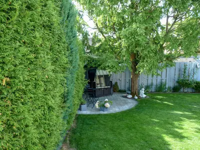 outside