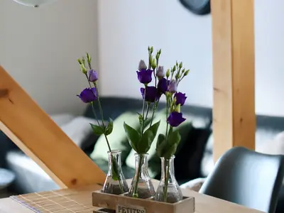 Ferienhaus für 5 Personen (85 m²) in Bad Harzburg 5/10