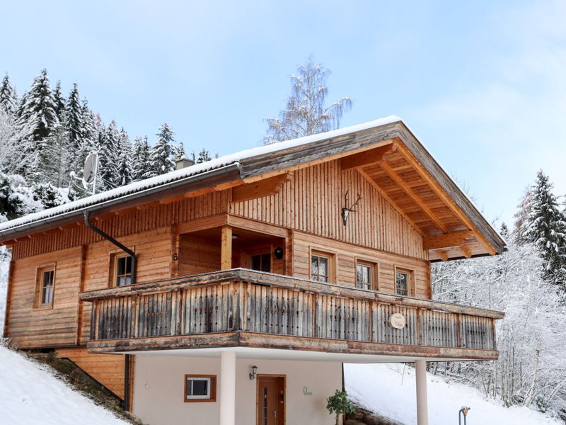 23843398-Ferienhaus-6-Bad Kleinkirchheim-800x600-0