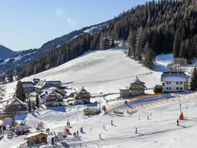 Almhaus Perfler direkt an der Skipiste