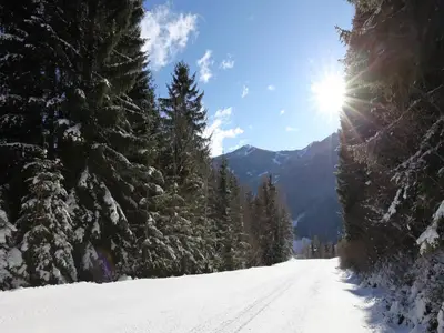 AreaWinter1KM