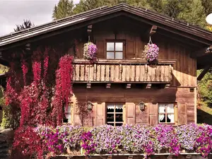 Ferienhaus für 4 Personen (100 m²) in Bad Kötzting