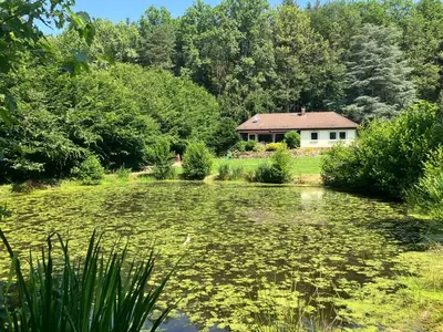 Ferienhaus für 6 Personen (146 m²) in Bad König 4/10