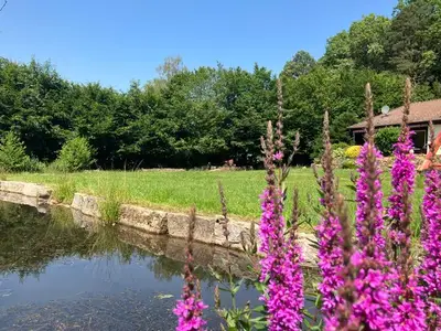 Ferienhaus für 6 Personen (146 m²) in Bad König 6/10