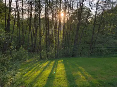 Ferienhaus für 4 Personen (85 m²) in Bad Lauterberg 5/10