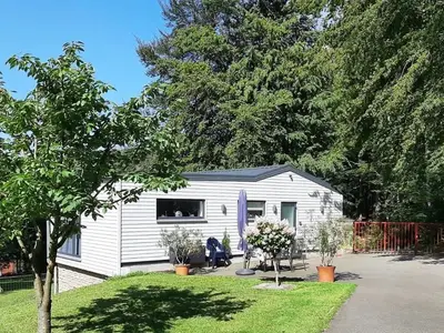 Ferienhaus für 4 Personen (85 m²) in Bad Lauterberg 1/10