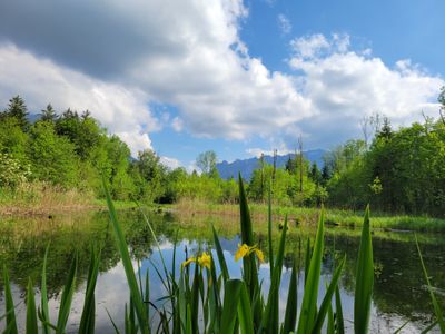 Marzoller Au mit Ausblick auf die Schlafende Hexe