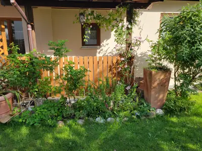 Blick auf das Haus
