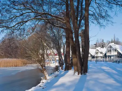 AreaWinter1KM