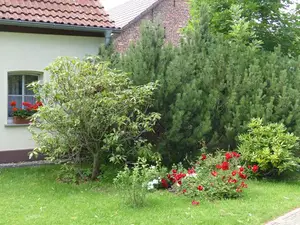 Ferienhaus für 8 Personen (100 m²) in Bad Saarow