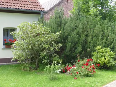 Ferienhaus für 8 Personen (100 m²) in Bad Saarow 1/10