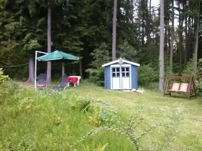 Ferienhaus für 4 Personen (80 m²) in Bad Sachsa 10/10