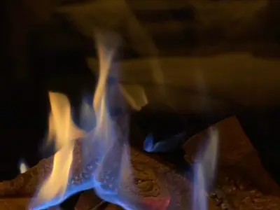 Ferienhaus für 6 Personen (130 m²) in Bad Sachsa 8/10