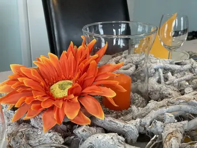 Ferienhaus für 6 Personen (100 m²) in Bad Sachsa 8/10