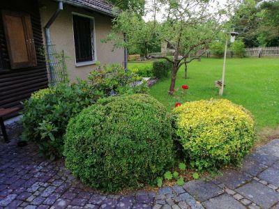 Ferienhaus für 5 Personen (60 m²) in Bad Salzungen 4/10