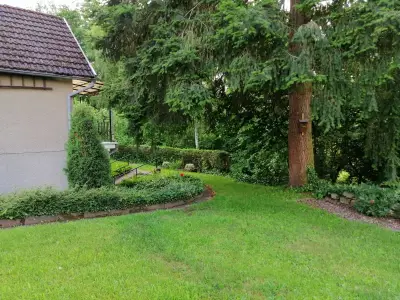 Ferienhaus für 4 Personen (60 m²) in Bad Salzungen 5/10