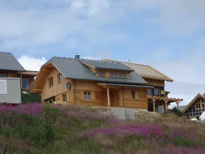 Ferienhaus für 10 Personen (115 m²) in Bad Sankt Leonhard im Lavanttal 3/10