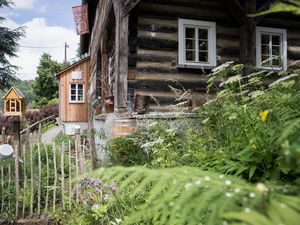 23023549-Ferienhaus-10-Bad Schandau-300x225-3