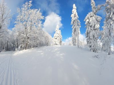 Landschaft im Winter