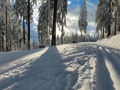 Landschaft im Winter