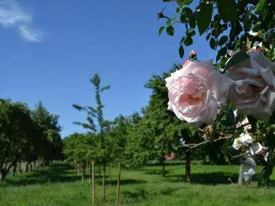 Aussenansicht Bild 6