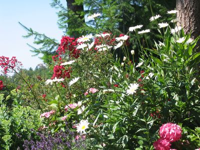 Haus Fernblick Garten