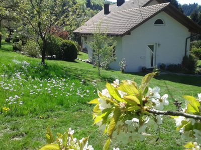 Ferienhäusle - Kirschblüte im eigenen Gaten