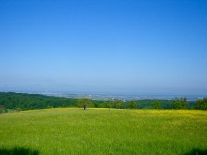 21610717-Ferienhaus-8-Badenweiler-300x225-4