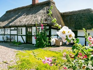 Ferienhaus für 4 Personen (73 m&sup2;) in Bagenkop