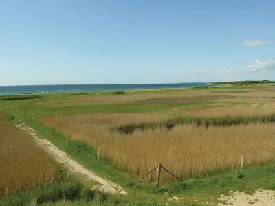 view-from-room