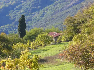 GardenSummer