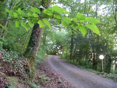 Die Straße, die zum Hügel hinaufführt.
