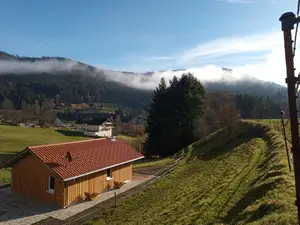 Ferienhaus für 5 Personen (54 m²) in Baiersbronn