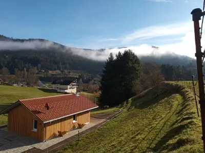 Ferienhaus für 5 Personen (54 m²) in Baiersbronn 1/10