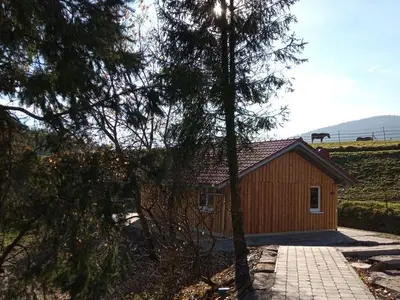 Ferienhaus für 5 Personen (54 m²) in Baiersbronn 5/10