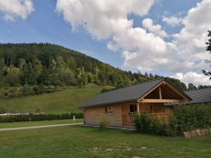 23293113-Ferienhaus-4-Baiersbronn-300x225-5