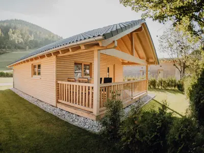 Ferienhaus für 4 Personen (60 m²) in Baiersbronn 1/10