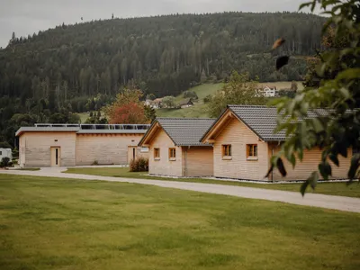 Ferienhaus für 4 Personen (60 m²) in Baiersbronn 4/10