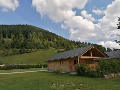 Ferienhaus für 4 Personen (60 m²) in Baiersbronn 6/10