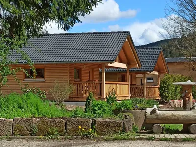 Ferienhaus für 4 Personen (60 m²) in Baiersbronn 7/10