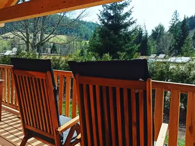 Ferienhaus für 4 Personen (60 m²) in Baiersbronn 6/6