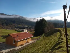 Ferienhaus für 5 Personen (54 m²) in Baiersbronn