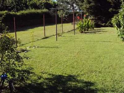 Ferienhaus für 4 Personen (57 m²) in Balatomáriafürdö 5/10