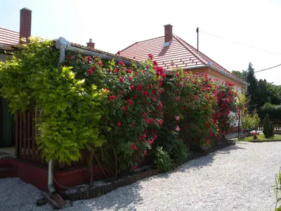 Ferienhaus für 5 Personen (100 m²) in Balatonberény 2/10