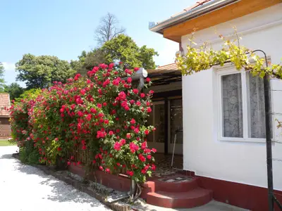 Ferienhaus für 5 Personen (100 m²) in Balatonberény 3/10
