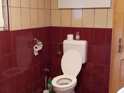 Ferienhaus für 3 Personen (50 m²) in Balatonberény 9/10