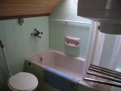 Ferienhaus für 11 Personen (130 m²) in Balatonfenyves 10/10